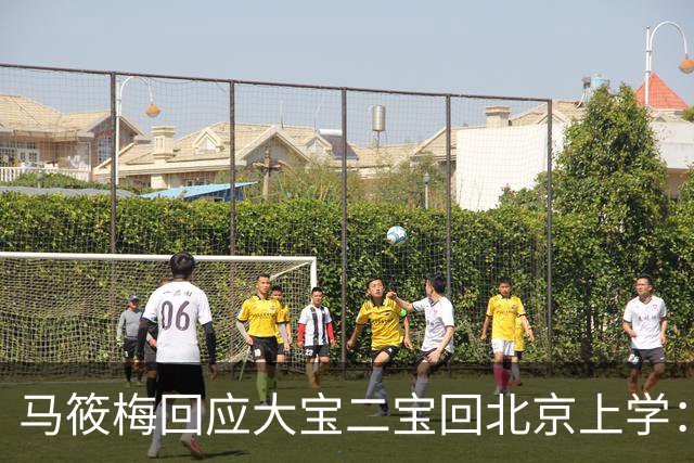 马筱梅回应大宝二宝回北京上学：不是我能做主